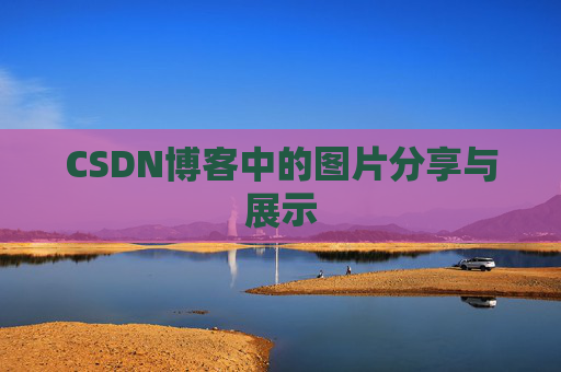 CSDN博客中的图片分享与展示